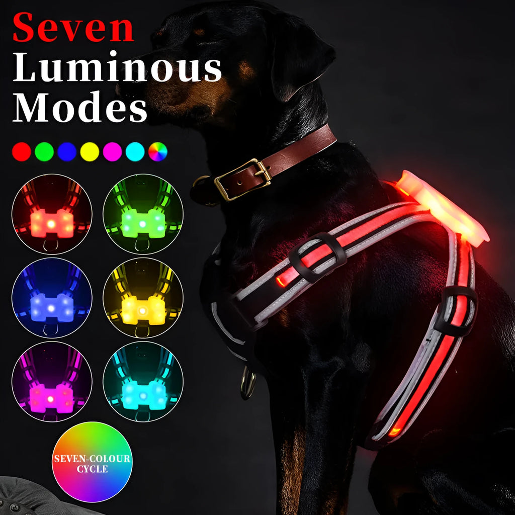 Nylon dog leash with multicolour LED lights and retractable hand holding rope