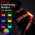Nylon dog leash with multicolour LED lights and retractable hand holding rope
