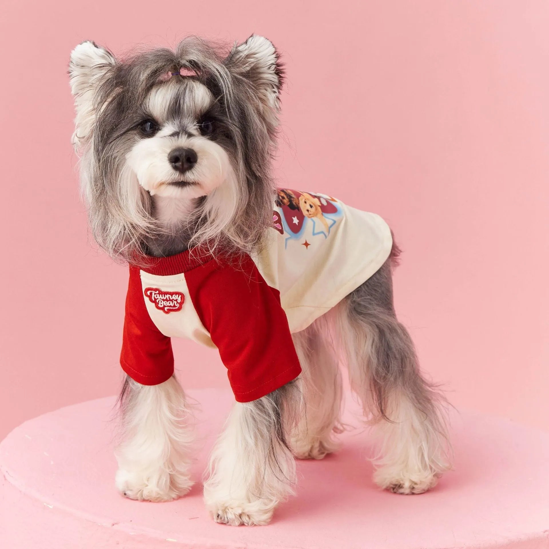 Dog wearing cotton summer clothes in embroidered red colour, size options XS to XXL available