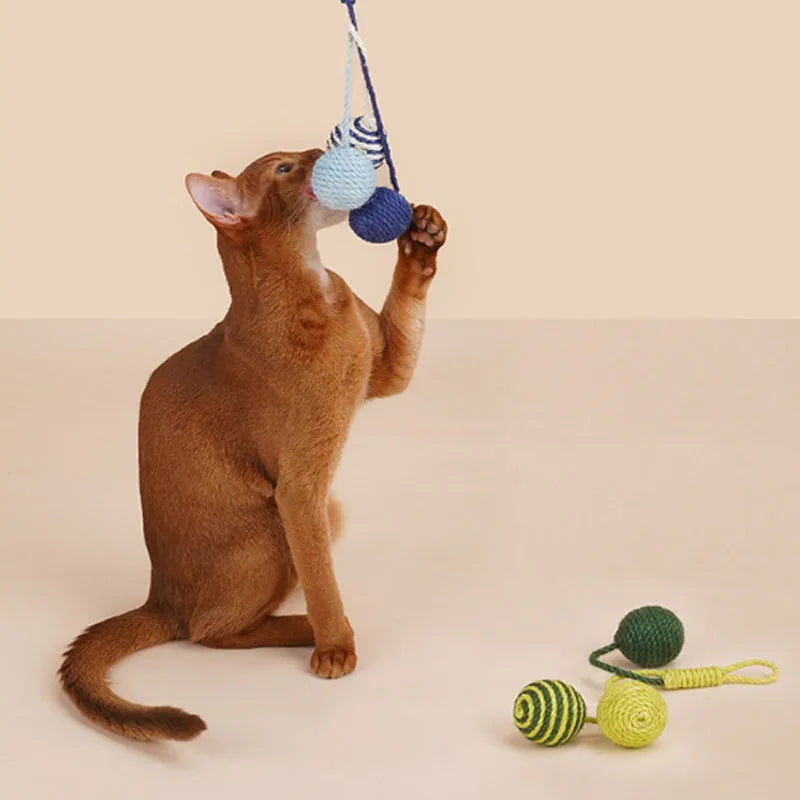 Multi-colour cat teaser stick toy set with bite-resistant catnip ball measuring 255mm by 105mm