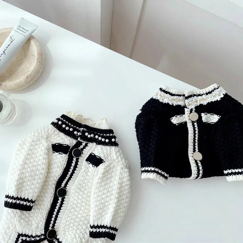 Korean-style white puppy sweater with pearl collar on small dog showing princess cut design