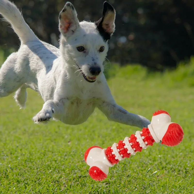 Small blue bone-shaped dog toy with textured chewable ends and central treat compartment