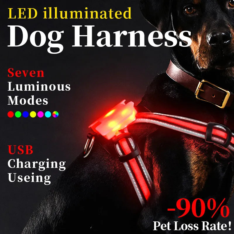 Nylon dog leash with multicolour LED lights and retractable hand holding rope
