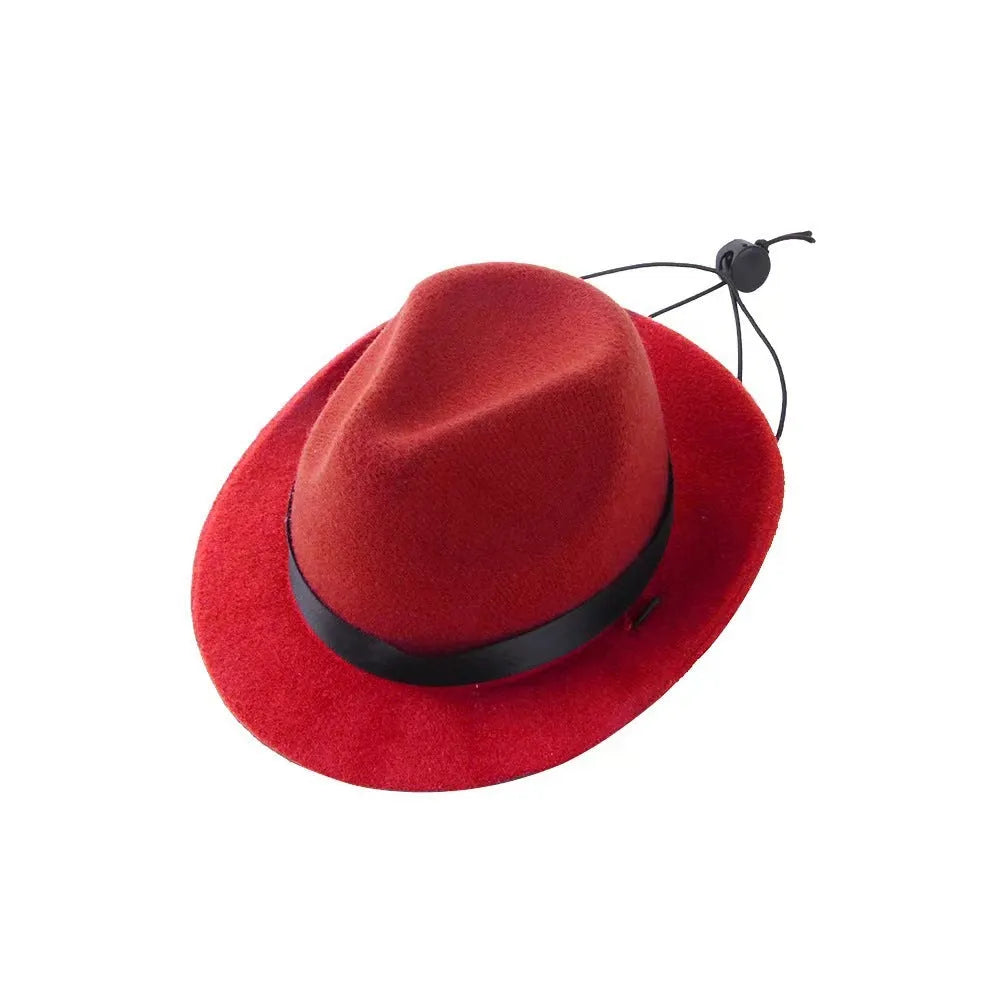 Wool felt pet hat in black colour with 155cm diameter for small dog costume accessory