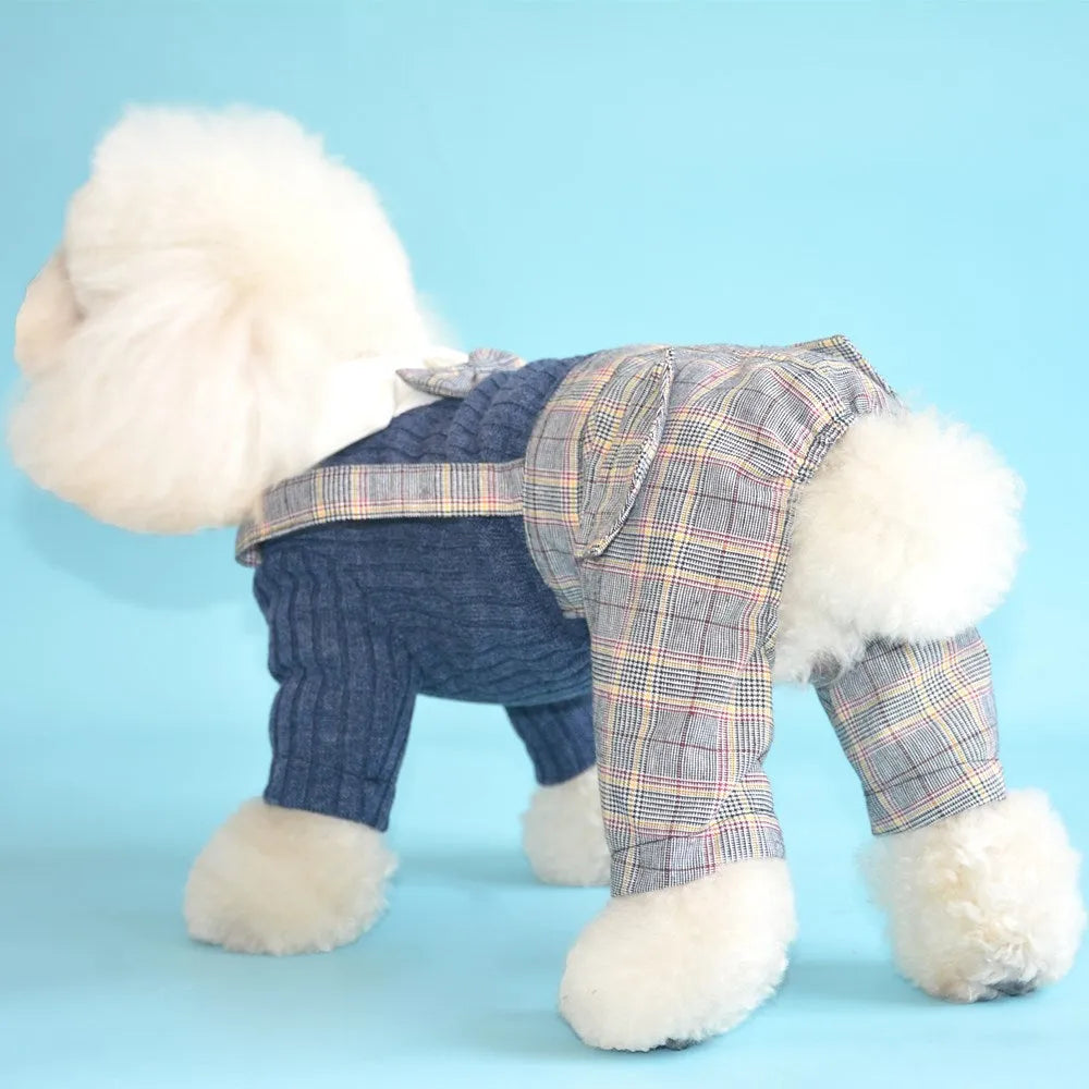 Orange and dark blue cotton dog suit shirt for small breeds in five sizes