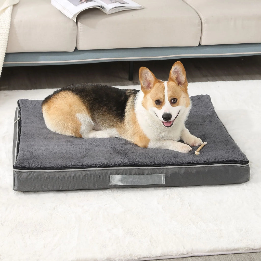 Removable washable memory sponge dog mat in khaki colour, showing thick sponge construction and rectangular shape.