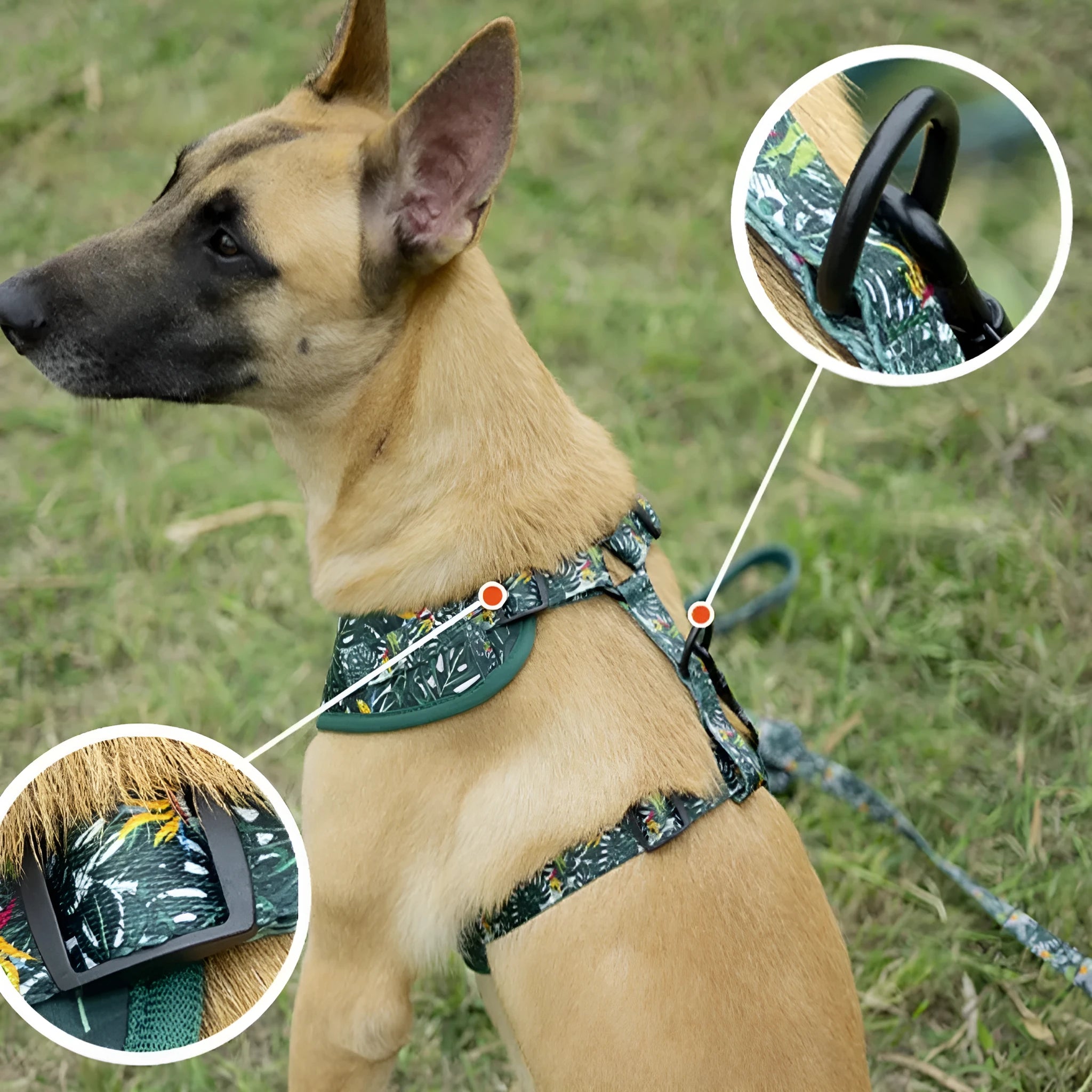 Six-piece adjustable cloth dog harness set with leash, collar, waste bag, bow tie, and scarf in assorted colours.