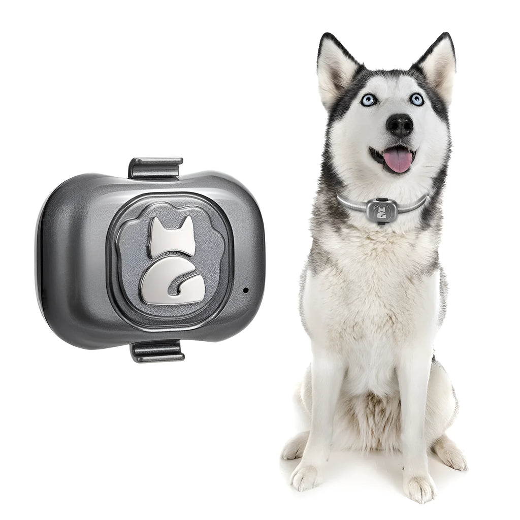 Black ABS plastic pet GPS locator with hanging rope attached for collar mounting.