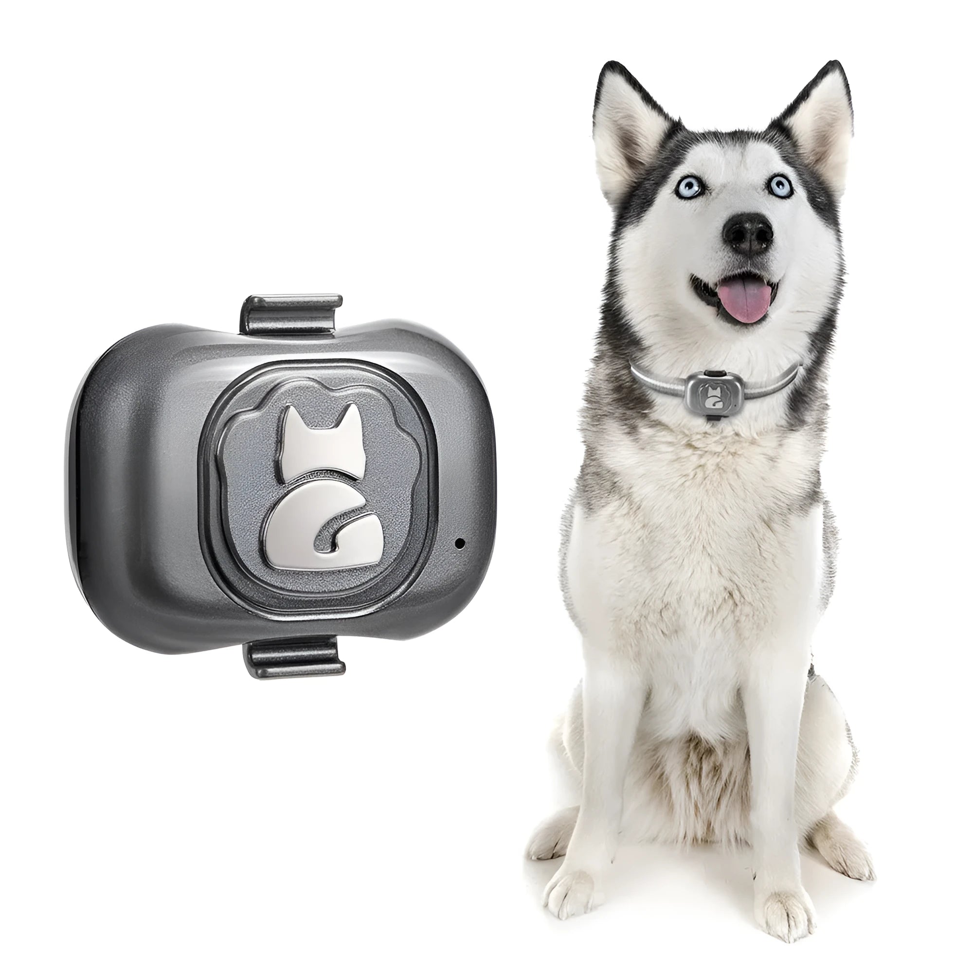 Black ABS plastic pet GPS locator with hanging rope attached for collar mounting.