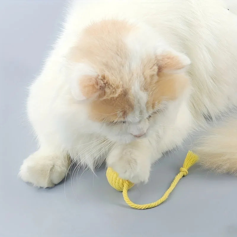 Colourful cat toy ball with rope and built-in bell in two size options