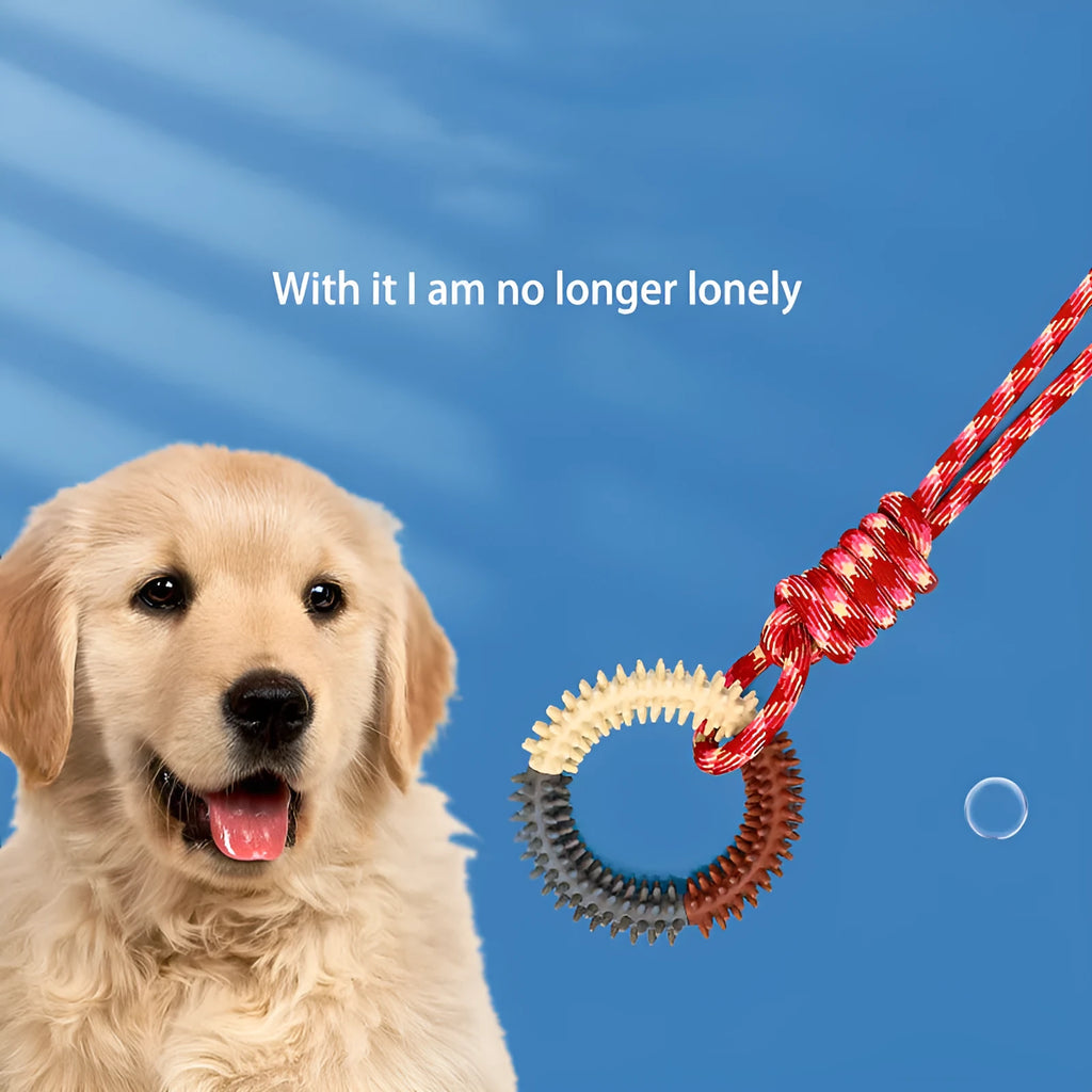 Braided rope dog tug toy measuring 43 cm long in blue colour with knotted design