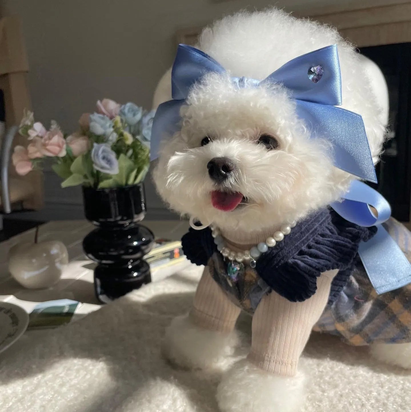 Dog wearing princess style bow hair band with tension adjustment on head