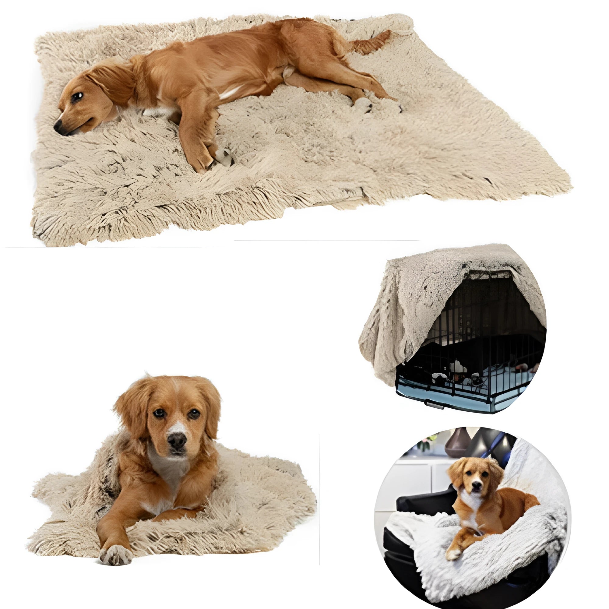 Soft grey plush dog blanket shown with a medium-sized dog lying on it.
