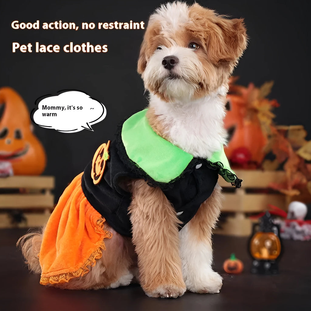 Small dog wearing an orange Halloween pumpkin skirt costume made of crystal velvet