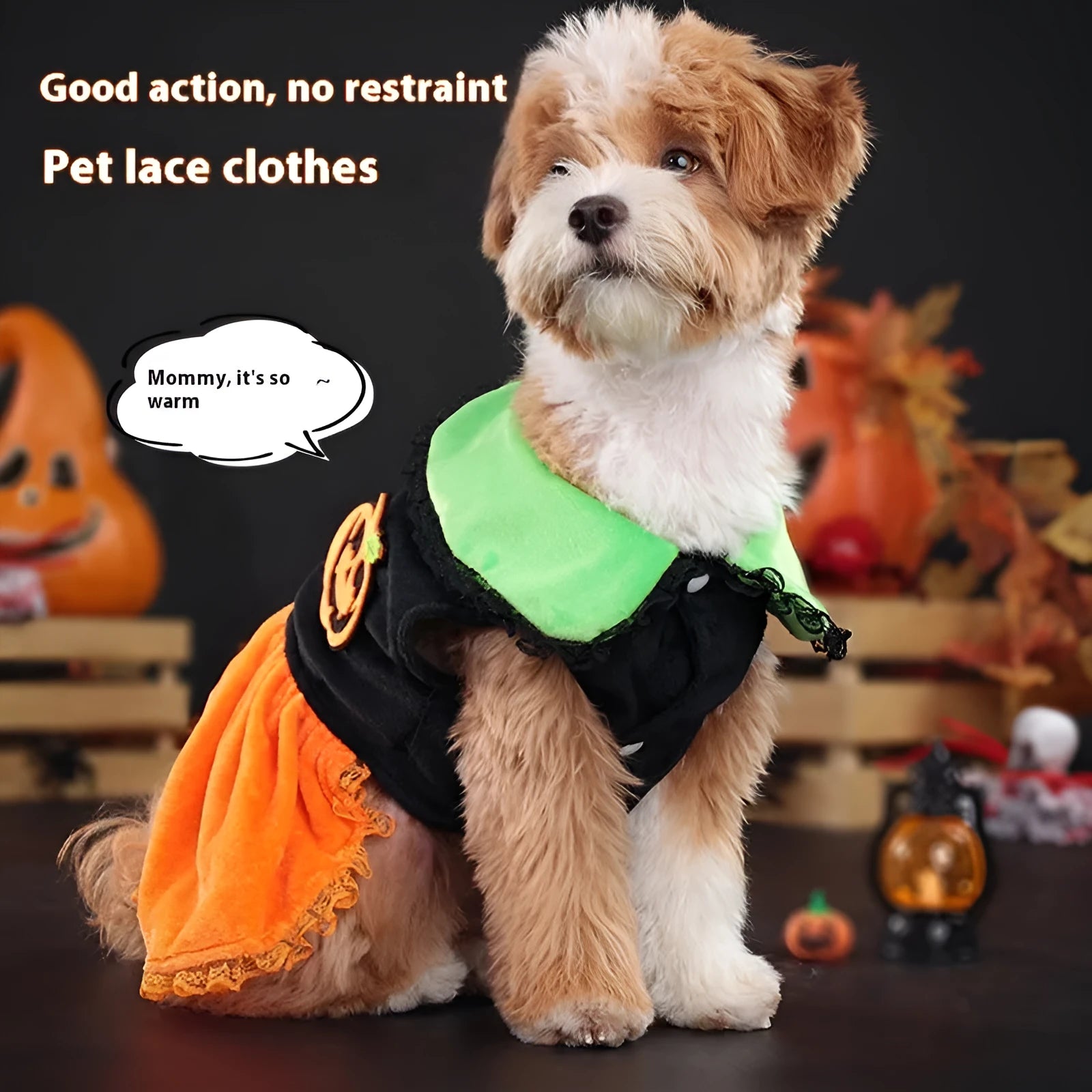 Small dog wearing an orange Halloween pumpkin skirt costume made of crystal velvet