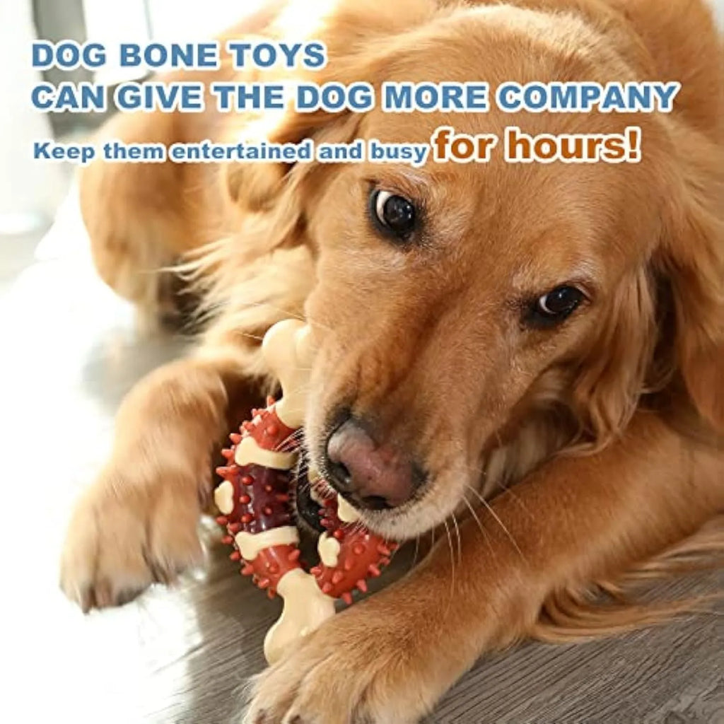 Bone-shaped natural rubber dog molar chew toy for teeth cleaning and anxiety relief in two sizes.