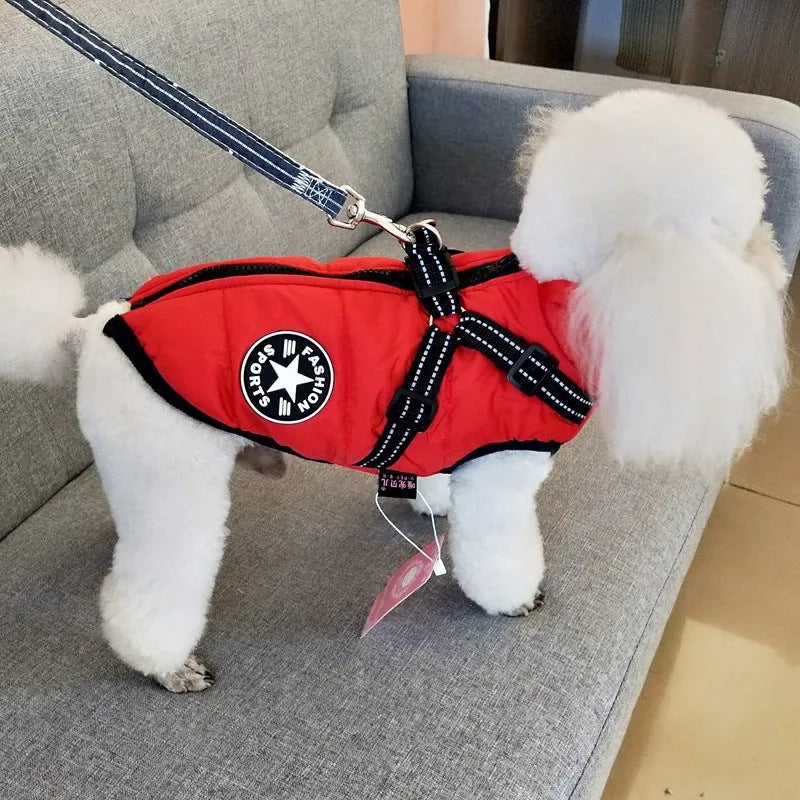 Red waterproof dog coat with integrated harness on a Labrador.