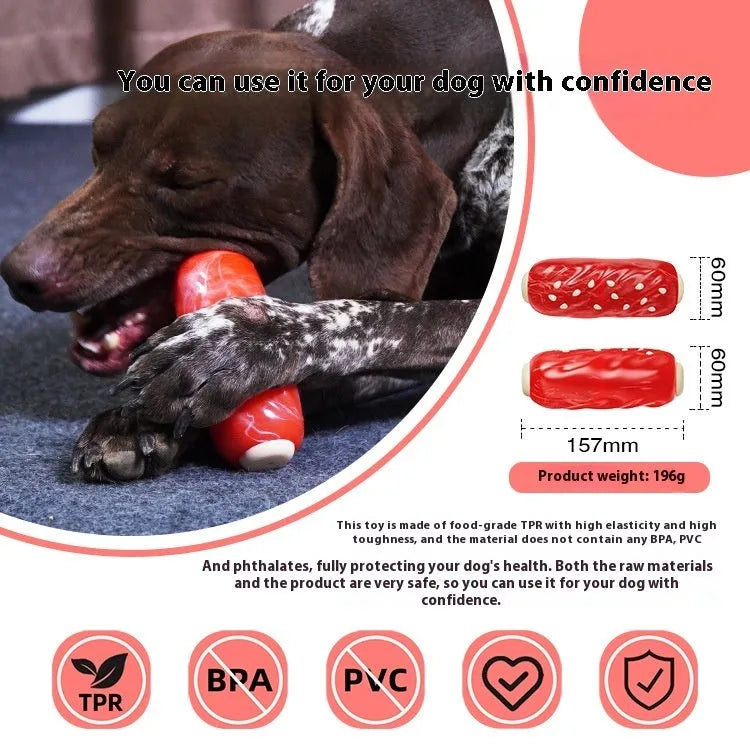Primary colour plastic dog chew toy with toothbrush and molar rod textured design