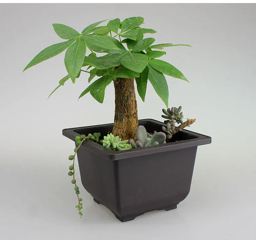 Dark brown antique recycled plastic flowerpot on a table.