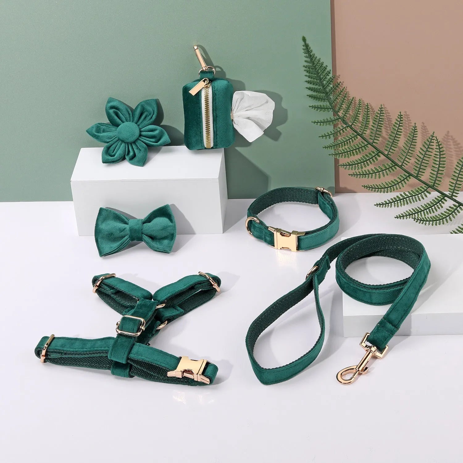 Velvet pet collar and traction rope set with bow tie and flower accessories in multiple colour options