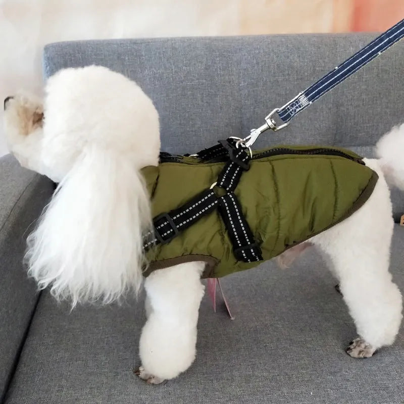 Red waterproof dog coat with integrated harness on a Labrador.