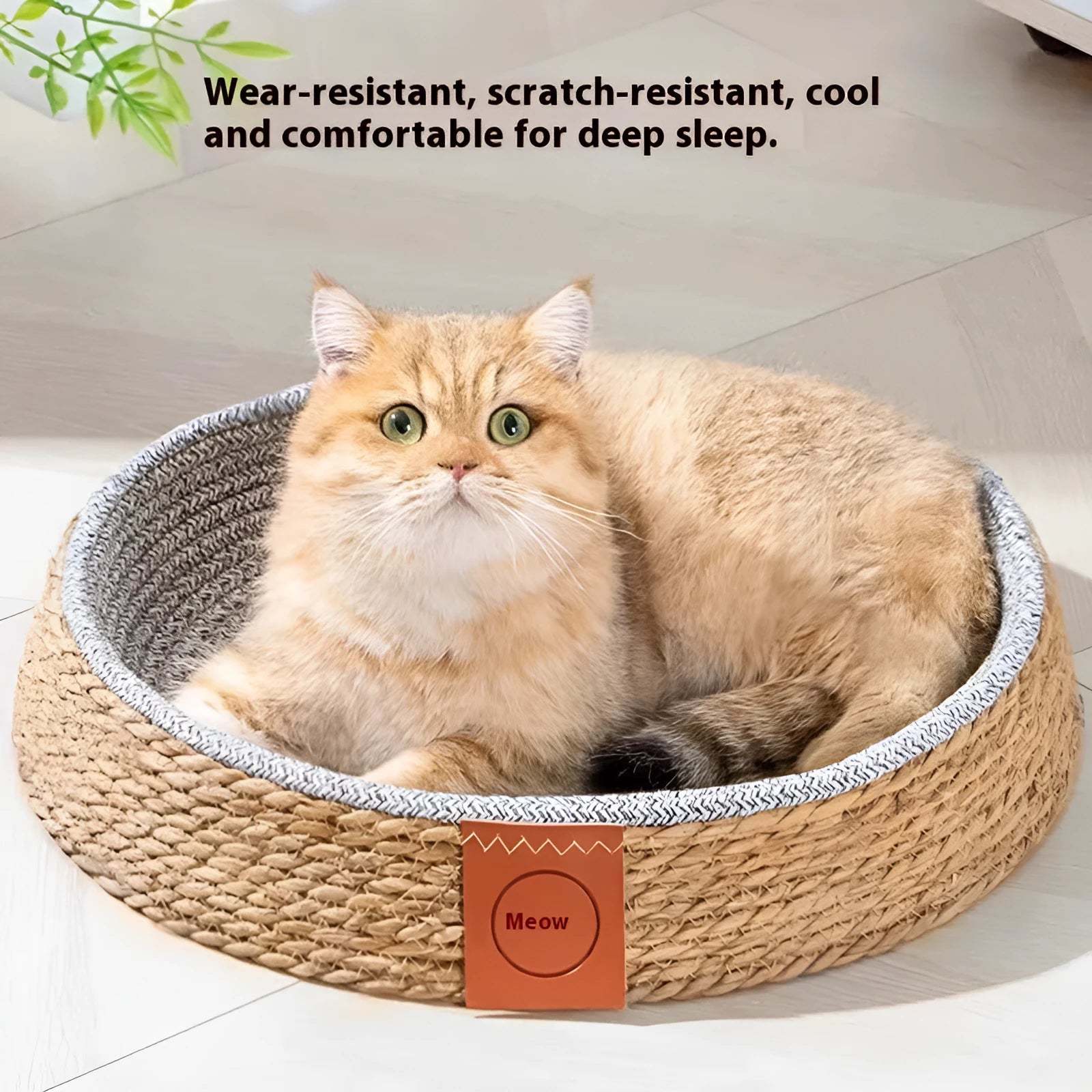 Rattan woven cat bed or nest for pets, shown in available sizes S, M, L, XL