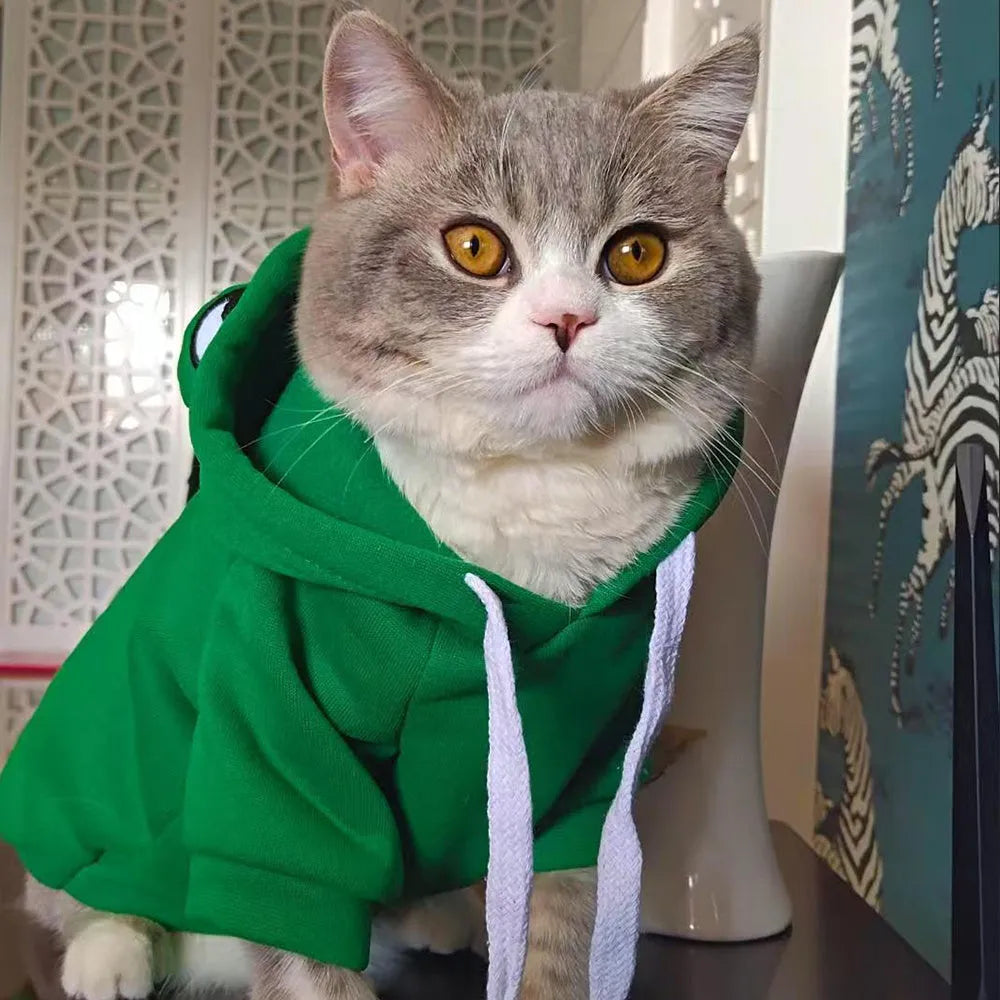 Green frog costume hoodie on small dog showing frog pattern design and hoodie style
