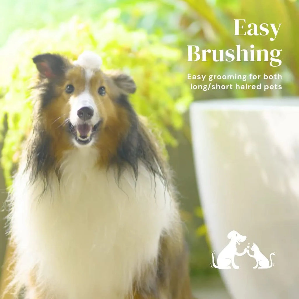 Blue self-cleaning pet grooming brush with ergonomic rubber handle on a white background