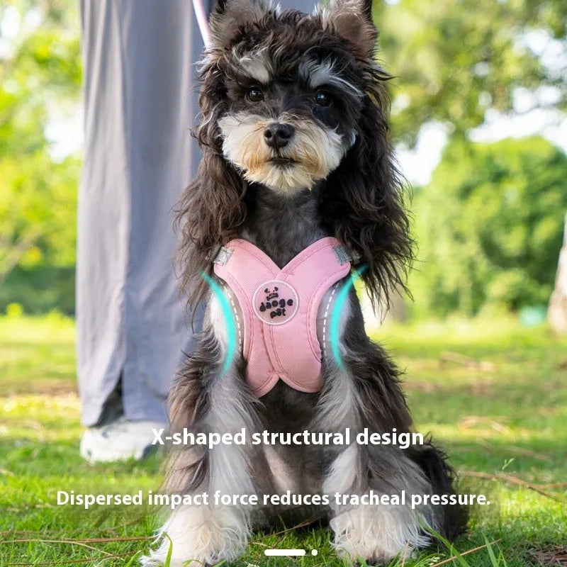 Blue polyester pet vest harness with attached hand holding rope for dog control.