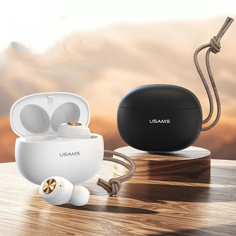 Pebble Series Wireless Bluetooth Mini TWS Earbuds in charging case.