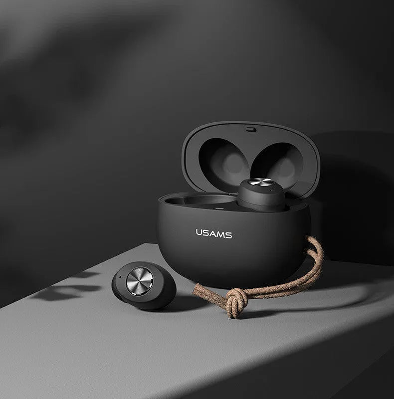 Pebble Series Wireless Bluetooth Mini TWS Earbuds in charging case.