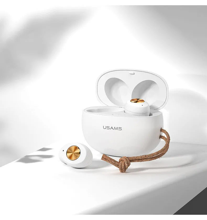 Pebble Series Wireless Bluetooth Mini TWS Earbuds in charging case.