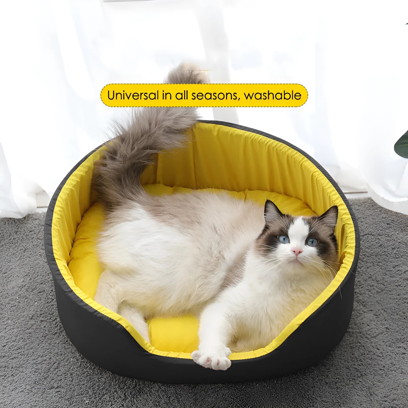 Washable cloth pet kennel for cats and small dogs in black or green, three size options