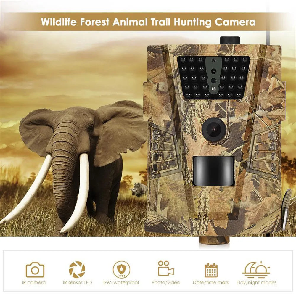 Orchard surveillance anti-theft camera with night vision for field security monitoring