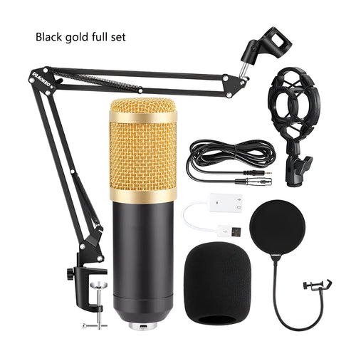 Black BM800 large diaphragm condenser microphone mounted on cantilever bracket with shock frame and pop filter