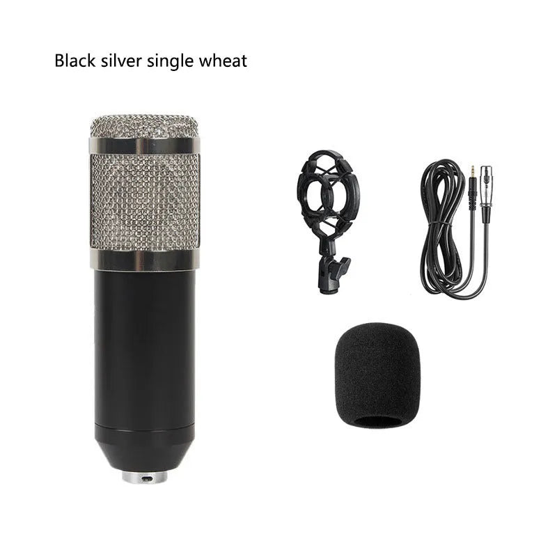 Black BM800 large diaphragm condenser microphone mounted on cantilever bracket with shock frame and pop filter