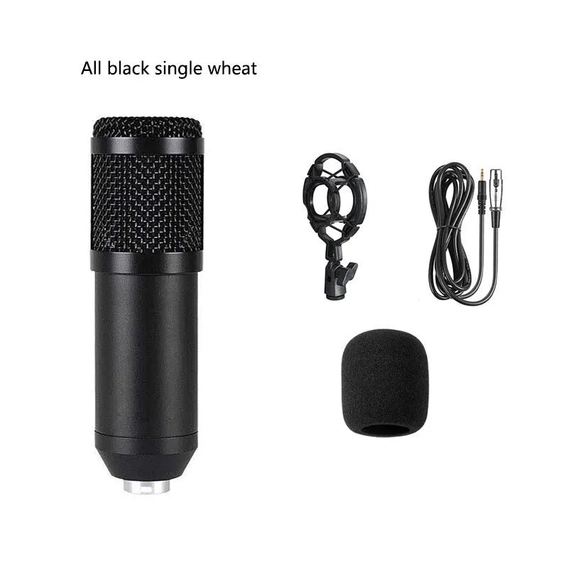 Black BM800 large diaphragm condenser microphone mounted on cantilever bracket with shock frame and pop filter