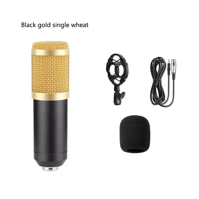 Black BM800 large diaphragm condenser microphone mounted on cantilever bracket with shock frame and pop filter