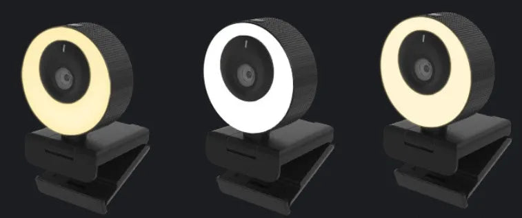Black 1080p USB webcam with built-in microphone and magnetic privacy cover on a computer monitor.