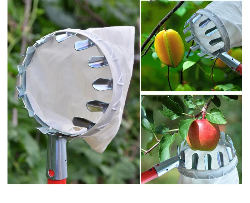 Steel frame fruit picker with cloth catching bag for garden harvesting