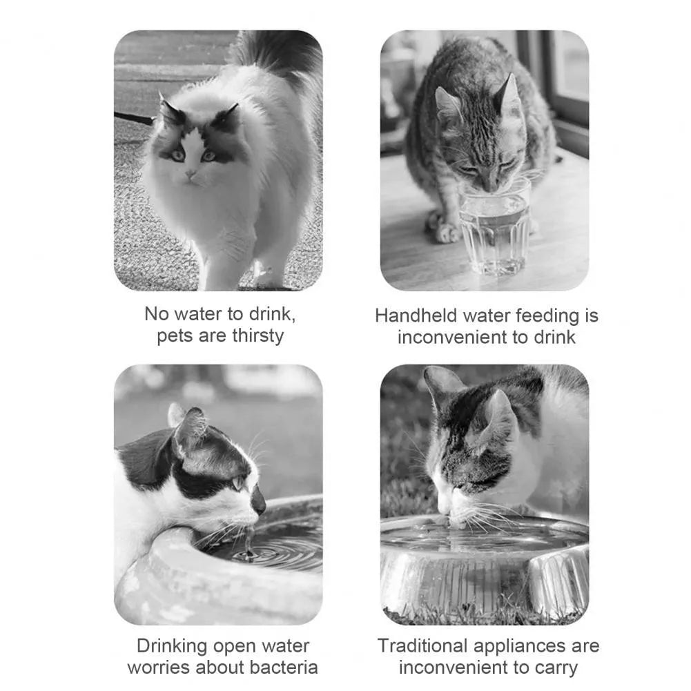 Orange and white portable pet water feeder with food container for dogs and cats outdoor use