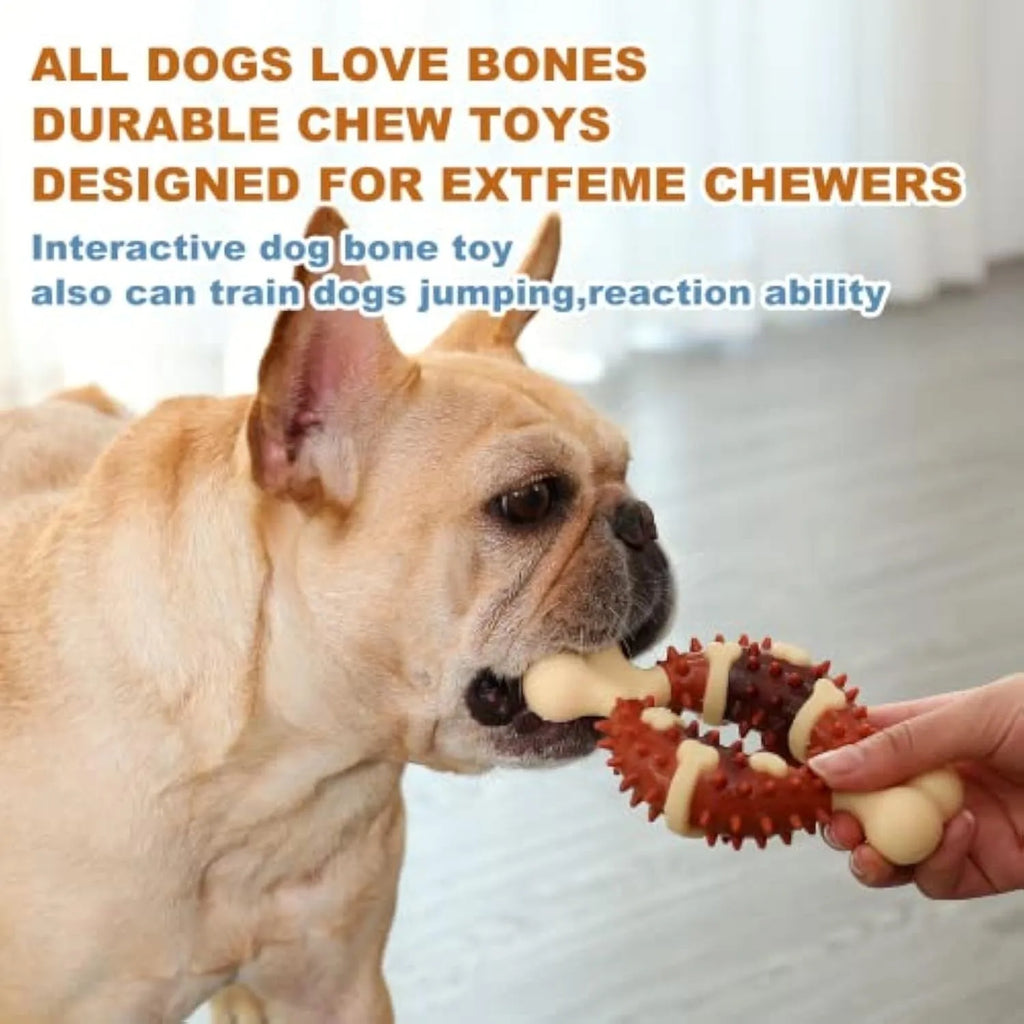 Bone-shaped natural rubber dog molar chew toy for teeth cleaning and anxiety relief in two sizes.