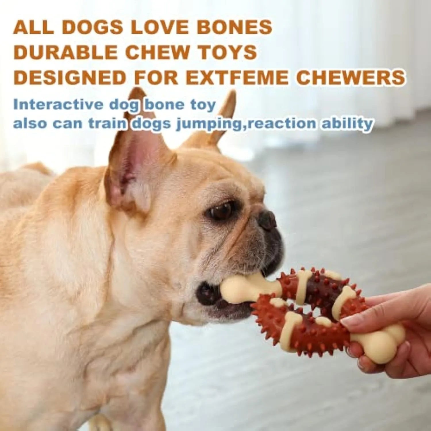 Bone-shaped natural rubber dog molar chew toy for teeth cleaning and anxiety relief in two sizes.