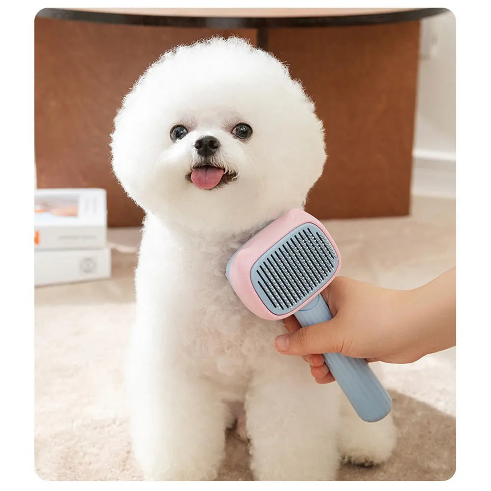 Blue and green double-sided pet grooming brush with deshedding rake and dematting comb for dogs and cats