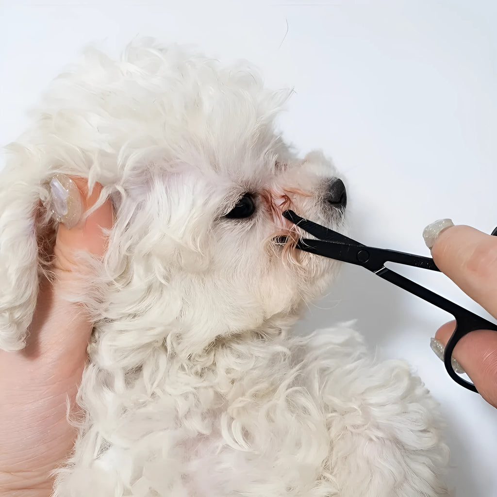 Black dual-sided pet grooming brush with soft bristles for eye area and comb for hair removal
