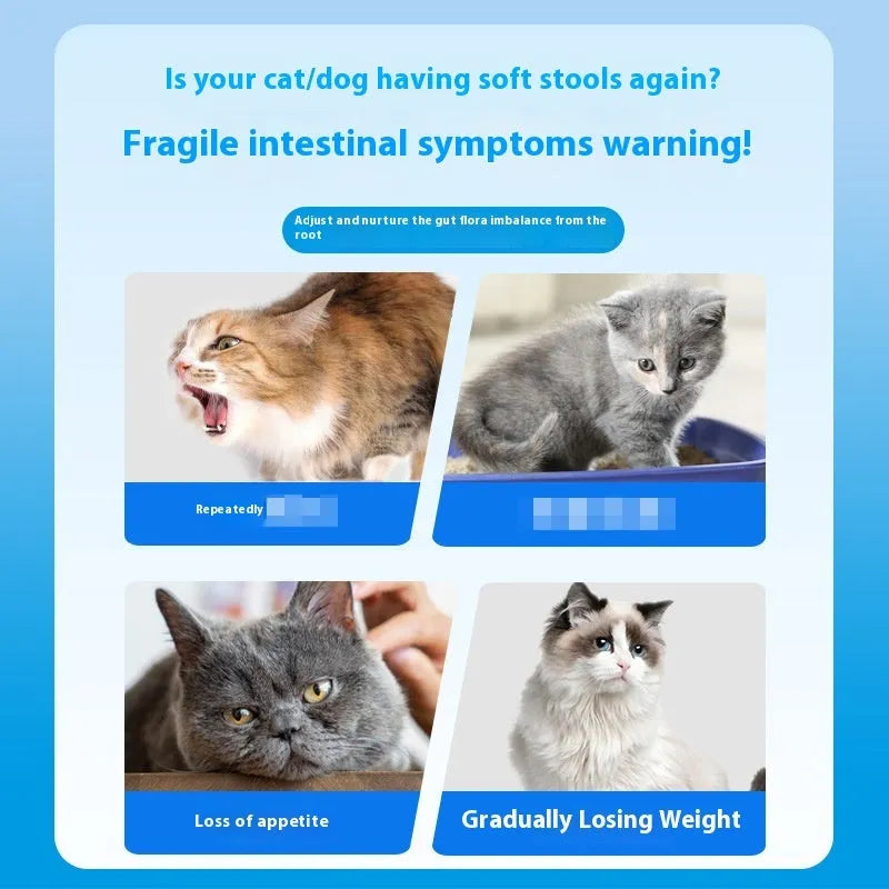 Bottle of Pet Active Probiotic Tablets containing 180 tablets for dog and cat digestive health support.