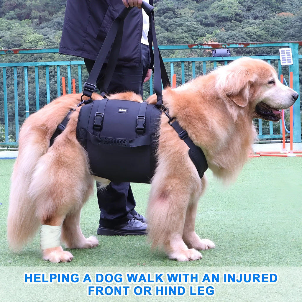 Black Oxford cloth dog harness with adjustable leg support straps for pet rehabilitation in sizes M to XXL