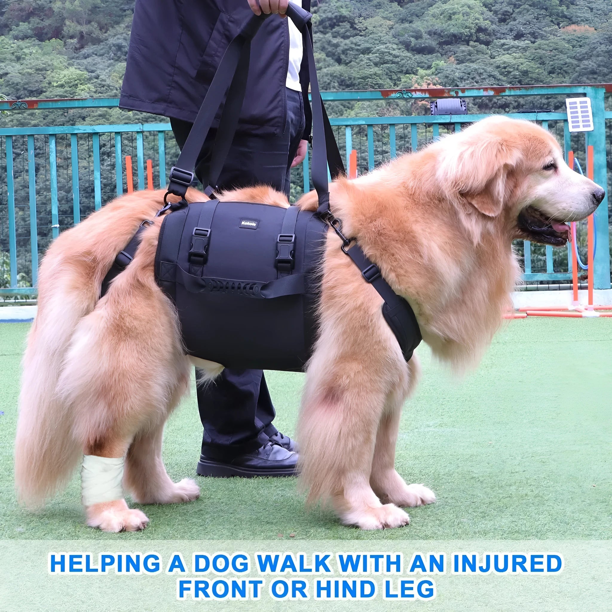 Black Oxford cloth dog harness with adjustable leg support straps for pet rehabilitation in sizes M to XXL