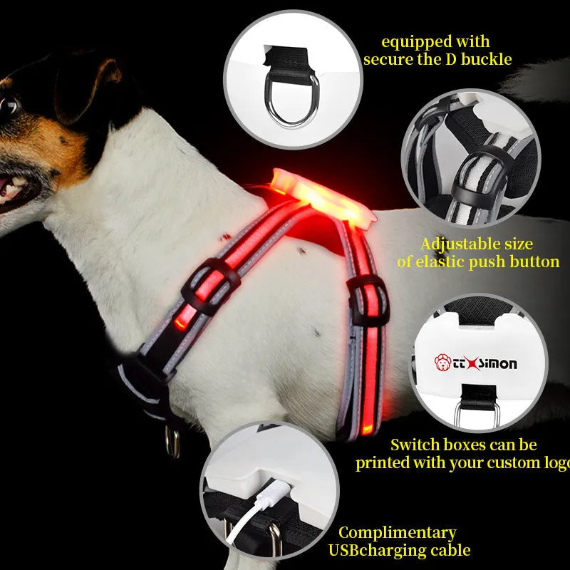Nylon dog leash with multicolour LED lights and retractable hand holding rope