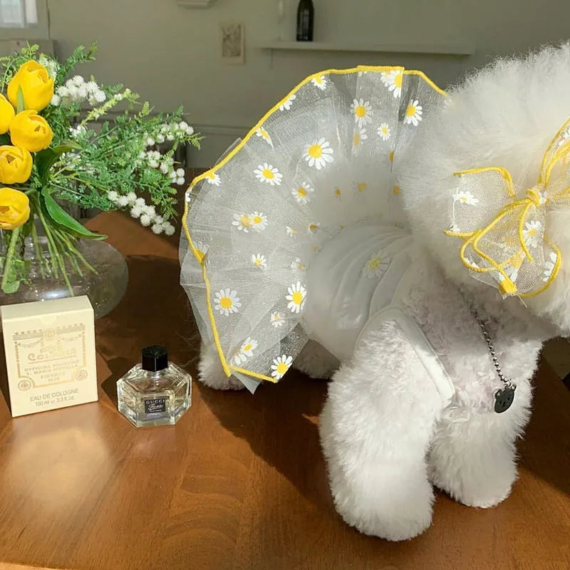 Yellow daisy pattern summer dog clothes on pet, lightweight polyester fabric